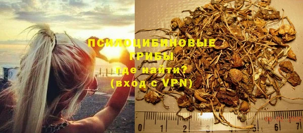 apvp Арсеньев