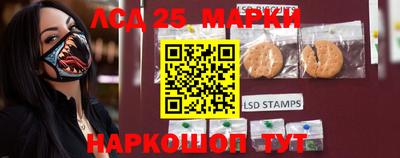 индика Моздок