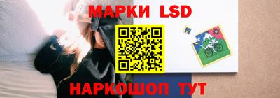 индика Моздок