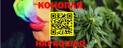 крисы Лесной