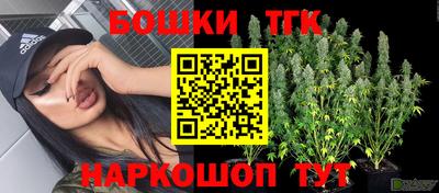 индика Моздок
