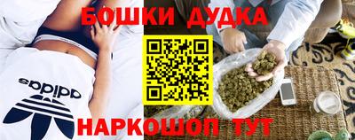 индика Моздок