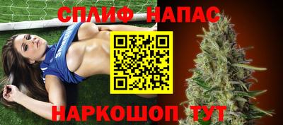 индика Моздок