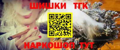 индика Моздок