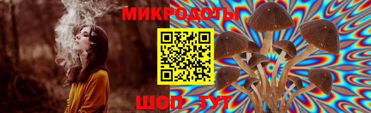 Галлюциногенные грибы GOLDEN TEACHER Сосновоборск