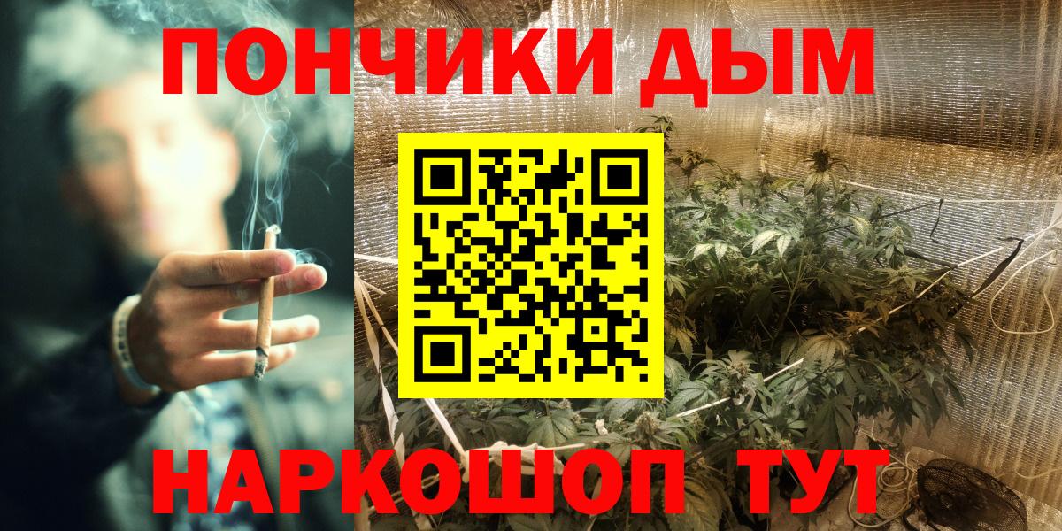 Канабис гибрид Сосновоборск